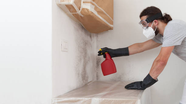 Professional Crawl Space Mold Remediation technician working in Burnham, PA
