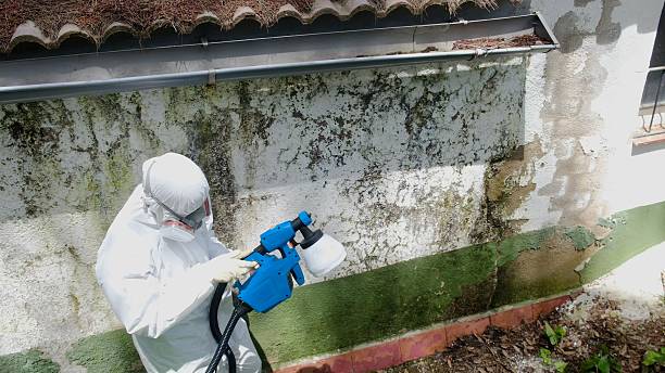 Top rated local Crawl Space Mold Remediation specialists in Burnham, PA